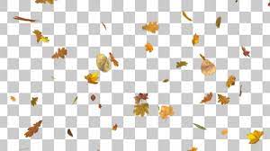 Blowing Falling Leaves Fall Overlay Autumn Leaves Photoshop Overlays