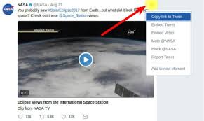 How to turn a video into a link. Twitter Video Downloader Download Twitter Videos And Gif Online