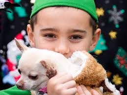 Annual Reindog Parade takes over Mount Adams