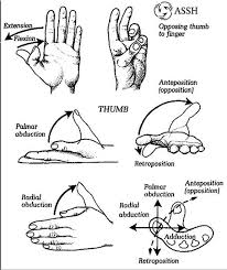 Image result for Hand Exam