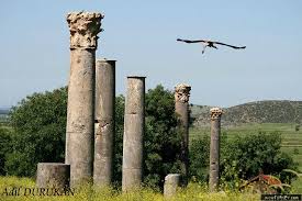 Vip jigolo ajansı olarak 2016 yılından bu yana bay jigolo üyelerimize yüksek maaşlı işler sağlıyoruz. Osmaniye Bilder Osmaniye Osmaniye Province Reisefotos Tripadvisor
