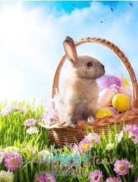 We did not find results for: Easter Vinyl Photography Backdrop 4 Easter Wallpaper Easter Bunny History Easter Bunny Images