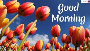 Share our cool designer inspirational images with loved ones . Good Morning 2021 Images Hd Wallpapers For Free Download Online Whatsapp Messages Positive Quotes And Happy Greetings To Send Your Family Friends Early Morning Latestly