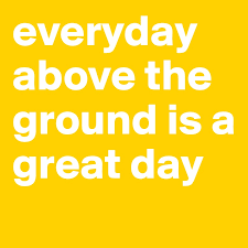 Every day is a great opportunity to learn something new and unique. Everyday Above The Ground Is A Great Day Post By Ragab On Boldomatic