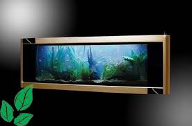 Java reef studio melayani pembuatan dan perawatan aquarium air laut untuk kebutuhan dekorasi rumah, kantor, hotel, atau area publik lainnya. 35 Model Aquarium Ikan Hias Air Tawar Minimalis 2021