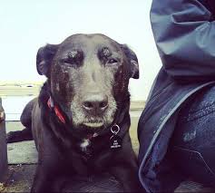 Tom Hardy Rtomhardy Twitter