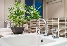 Bathroom plants are such a simple and affordable way to update your bathroom, whether it's a in thinking about the best plants for bathrooms, consider species that thrive in a humid, warm. 10 Bathroom Plants To Keep Your Space Bright And Cheery