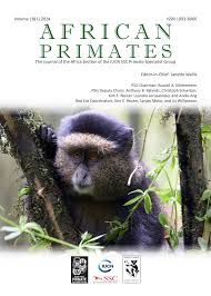 Image result for Isachne mauritiana