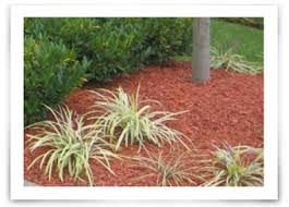 Choosing The Best Mulch Color For Your Lawn And Garden