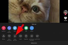 Per voreinstellung werden videos, bilder und audionachrichten automatisch von whatsapp auf eurem smartphone abgelegt. So Kann Man Tik Tok Videos Einfach Speichern Schrittweise Anleitung