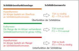 Hashimoto Thyreoiditis Informationen Zum Krankheitsbild Schilddrusenguide Der Unabhangige Internetwegweiser Zu Erkrankungen Der Schilddruse
