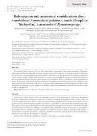 Cielo vista apartments is located in fontana, california in the 92335 zip code. Pdf Redescription And Taxonomical Considerations About Aonchotheca Aonchotheca Pulchra N Comb Enoplida Trichuridae A Nematode Of Nyctinomops Spp