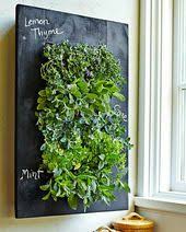 Un Potager Dans La Cuisine Du Futur Deconome