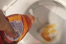 Believe it or not, the detergent you use to get your dishes. This Is The Brilliant Reason Why You Should Pour Dish Soap Into Your Toilet