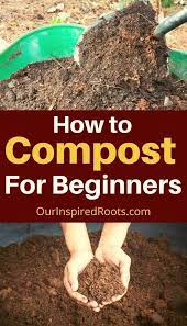 How To Compost 5 Ways To Get Black Gold For Your Garden Winter Vegetables Gardening Compost Vegetable Garden Diy