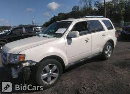 Image result for Oxford White 2012 Escape