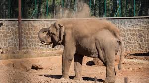 Balıklı, yeşil su, kırkayak, antep lisesi, ordu caddesi, bin evler ve üniversite şeklindedir. Gaziantep Hayvanat Bahcesi Acik Mi Kapali Mi Sonhaberler