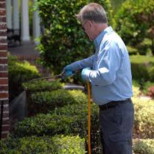 We specialize in both residential and commercial pest management. Bug Out Pest Control 807 College St Clinton Nc Phone Number