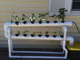Do It Yourself Hydroponics Google Search Hydroponic Gardening Hydroponics Diy Hydroponics