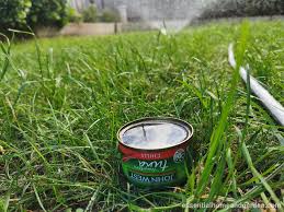 Your ga bermudagrass looked its best because its a warm season grass that thrives in the summer but goes dormant in winter. How To Fix Dead Grass Is It Dead Or Dormant