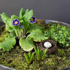 Moss gardens are simple to construct. Make A Mini Moss Garden Centerpiece Hearth And Vine