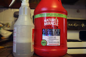 All beauty, all the time—for everyone. Nature S Miracle Does It Make Stains Smell Worse And How Do I Get Rid Of The Smell