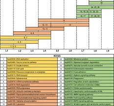 Continuing our legacy of innovation, we achieve new milestones with every endeavour. Decoding The Differentiation Of Mesenchymal Stem Cells Into Mesangial Cells At The Transcriptomic Level Bmc Genomics Full Text