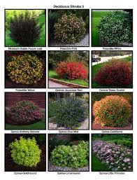 Landscape Gardening Courses Leicestershire Once Landscape Gardening Courses Lincoln Shrubs For Landscaping Front Garden Landscape Front Yard Landscaping Design