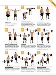 Free Downloadable Workout Poster The 30 Top Upper Body