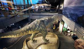 Check spelling or type a new query. The Museum Of Science Ranks Among The Best In The Nation The Accolades Don T Come Without Turmoil The Boston Globe