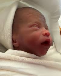 Harrison Noel James Obituary November 11, 2024