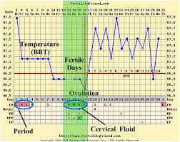 ovulation calendar chart being the parent