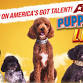 Puppy Pals LIVE!