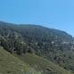 LO Central Coast | Bilingual Native Plant Hike on event image