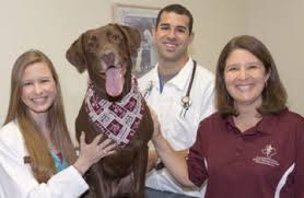 If you live in temple or the surrounding area in tx, then you have picked the perfect site. Veterinary Medical Teaching Hospital Texas A M Veterinary Medical Teaching Hospital