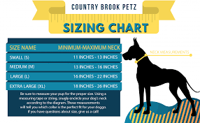 According to its size, the weight of the labrador female at 3 months should be between 9.7 and 11.9 kg. Buy Premium Labrador Retrievers Ribbon Dog Collar Online