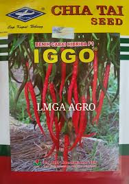 Jual Bibit Cabe Iggo Cap Kapal Terbang 08125222117 Sms Wa Toko Pertanian Online Lmga Agro Jual Benih Cabe Keriting Iggo Prod Benih Keriting Hortikultura