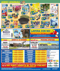 Sfoglia tutti i volantini e i cataloghi premi risparmiocasa e scopri le promozioni, le migliori offerte, i prezzi piu' bassi, i sottocosto e gli sconti. Risparmio Casa Volantino Attuale 24 10 10 11 2019 24 Volantino 24 Com