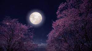 To those born with moon in cancer, heart and home matters are extremely important. How The Full Moon On June 24 Will Affect You If You Re A Cancer