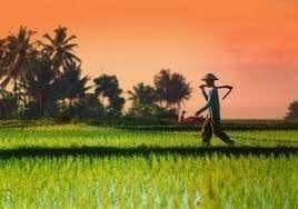 Ia memang sering membantu orangtuanya bertani sepulang sekolah. Kisah Seorang Petani Steemit