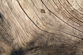 Wood synonyms, wood pronunciation, wood translation, english dictionary definition of wood. Wood Texture Lines Free Stock Photo Libreshot
