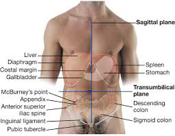 The quadrants are referred to according to their location in the abdomen. Abdomen Clinical Gate