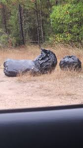 Trash someone came down Wells Ln and Liberty Ave ... take your Trash to the  dumb... don't go dump it in our neighborhood!!! ****11/18/2024, Monday  A.M.*** Last night when I returned home,