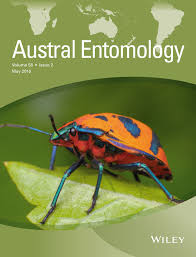 Arlequin, formerly written also harlequin (cf. Maternal Care Behaviour And Kin Discrimination In The Subsocial Bug Tectocoris Diophthalmus Hemiptera Scutelleridae Giffney 2016 Austral Entomology Wiley Online Library