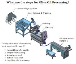 About Oliomio Olive Oil Processing Machines