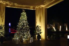 Desert, central coast, south coast, peninsular ranges. Christmas Tree Picture Of The Ritz Carlton Ras Al Khaimah Al Wadi Desert Tripadvisor