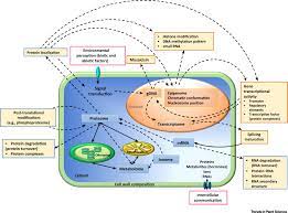 We did not find results for: Plant Systems Biology At The Single Cell Level Trends In Plant Science