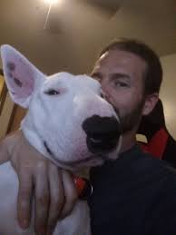 Your daily dose of Apollo. He's mad because big sister Maya stole his  elephant. The ending cracks me up 🤣