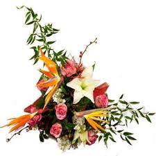 We did not find results for: Flower Delivery Vulcan Online Florist Vulcan