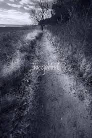 Black And White Landscape Photos For Sale Black White Landscape By Black White Photos 2008 In 2020 Fine Art Prints Sale Artwork Fine Art